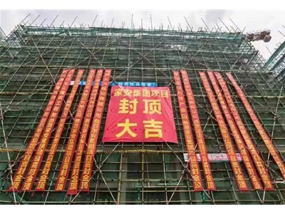 公司新聞|廣東家安集團大旺生產(chǎn)基地項目封頂大吉